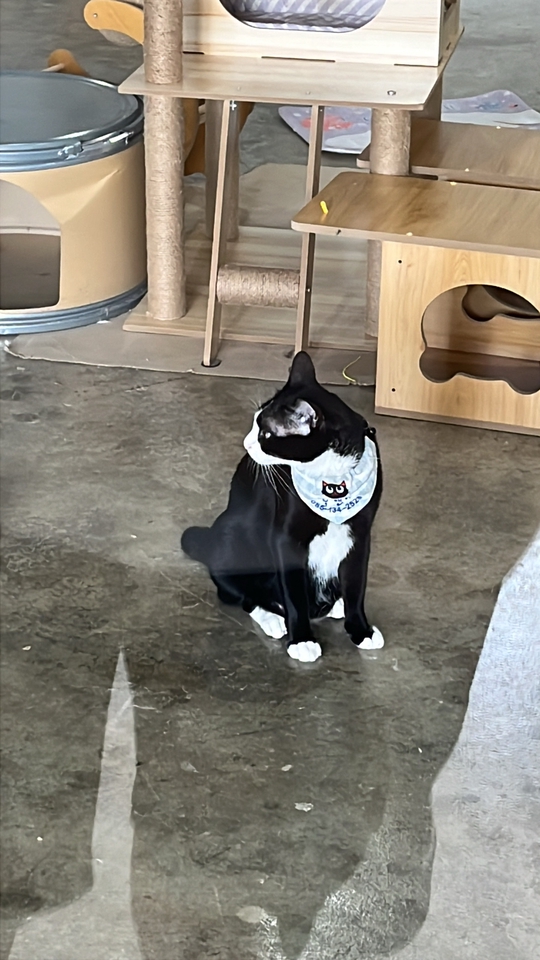 เพื่อนพาเที่ยว คนนำเที่ยว - รับงานเพื่อนเที่ยว - 3