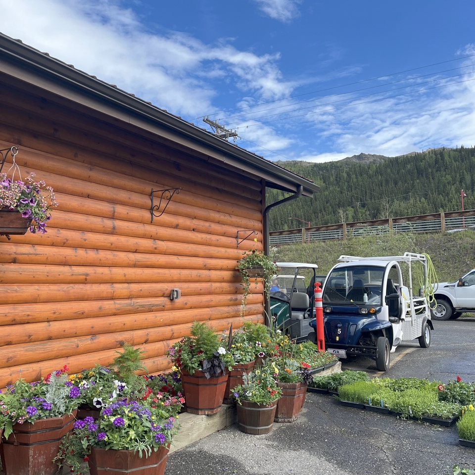 อื่นๆ - Advisor for joining Work and Travel Program in USA - 4