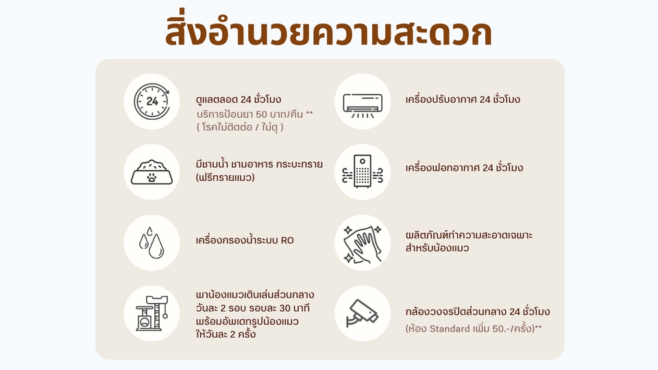 รับจ้างเลี้ยงสัตว์ - รับฝากแมวห้อง Standard - 2