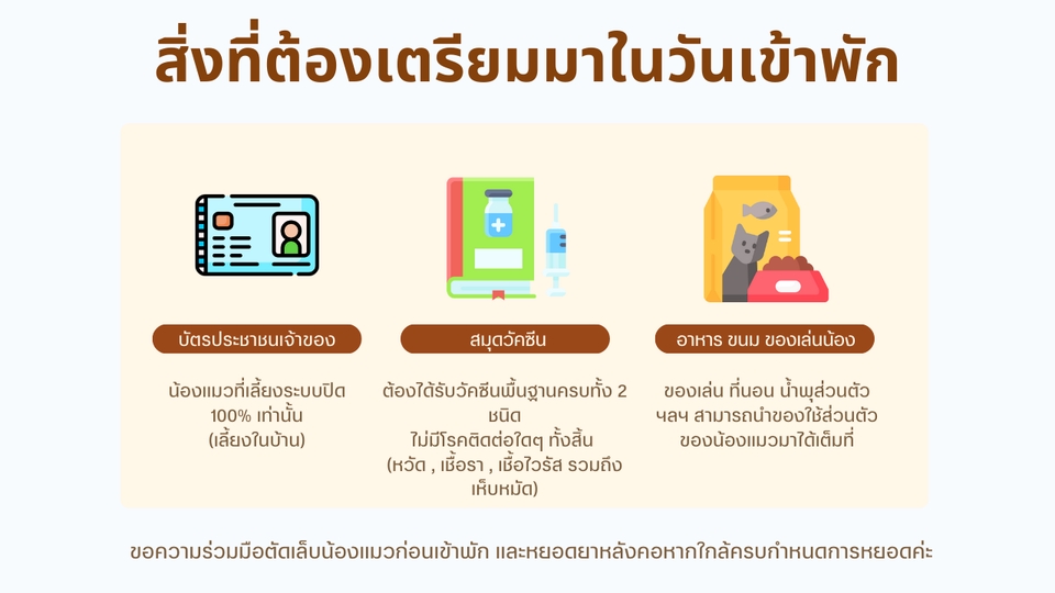 รับจ้างเลี้ยงสัตว์ - รับฝากแมวห้อง Standard - 5