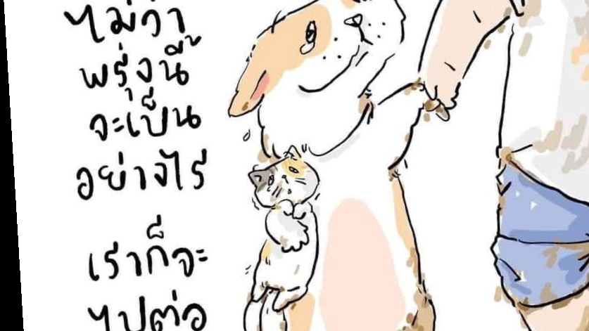 รับดูแลเพจร้านค้าออนไลน์ ตอบแชทลูกค้า แอดมินไลน์