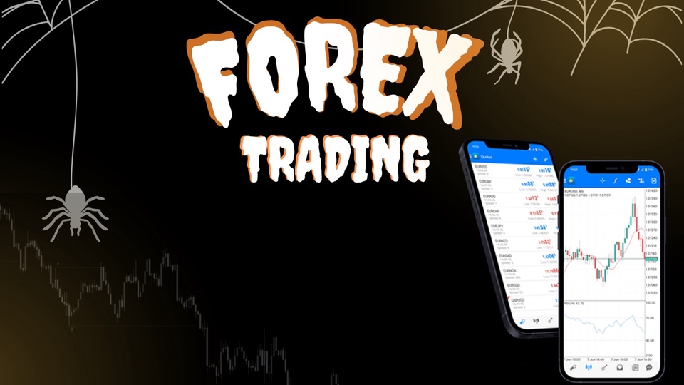สอนเทรดForexมือใหม่ เรียนเทรด forex คอร์สสอนเทรด forex