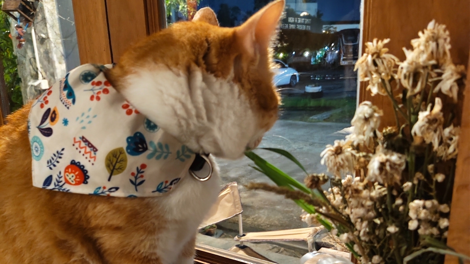 บริการรับ-ส่ง นักเรียน/ผู้ใหญ่
และรับส่ง-เอกสาร
พื้นที่เขตเมืองภูเก็ต
บริการดุจญาติ เพื่อน ปลอดภัย