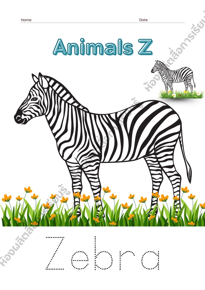 ออกแบบสื่อการศึกษาสำหรับเด็ก ออกแบบภาพประกอบสัตว์ลายเส้นน่ารัก สื่อการเรียนรู้ภาษาอังกฤษ Zebra