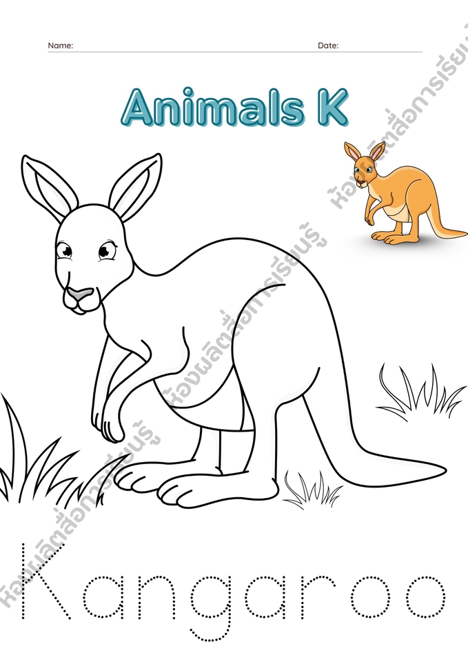 ออกแบบสื่อการเรียนรู้เด็กอนุบาล ตัวอักษรภาษาอังกฤษ K กระต่ายจิงโจ้