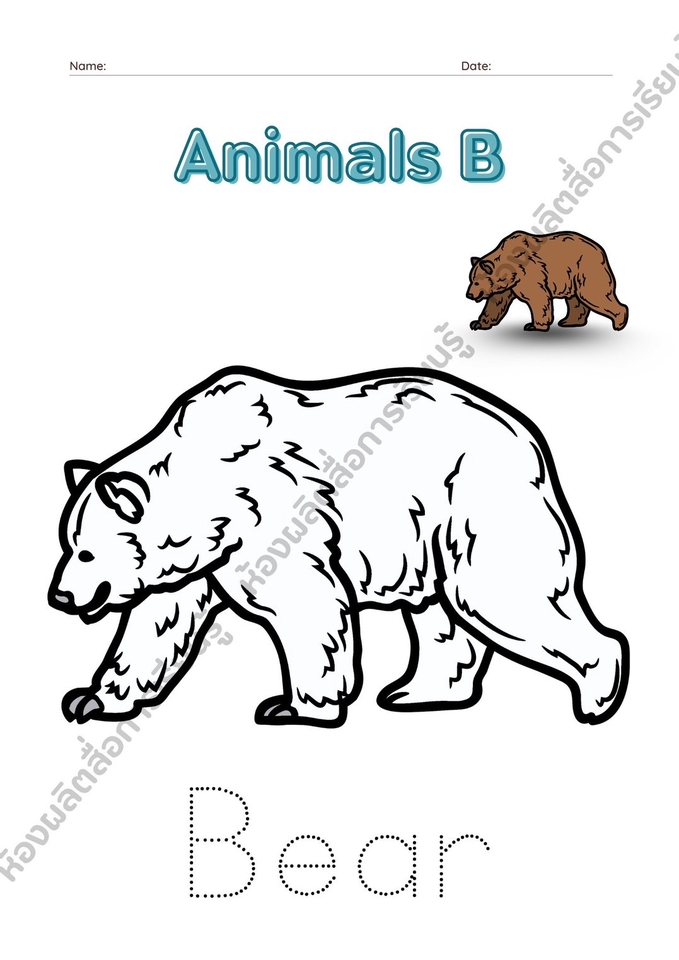 ออกแบบสื่อการศึกษาสำหรับเด็ก เรียนรู้สัตว์ ตัวอักษร B หมี