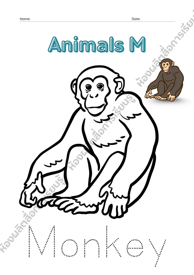 ออกแบบสื่อการศึกษาสำหรับเด็ก เรียนรู้ตัวอักษร M สัตว์ตัว M ลิง