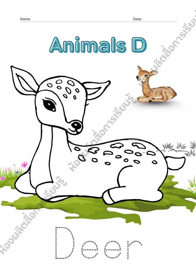 ออกแบบสื่อการศึกษาสำหรับเด็ก ชุดตัวอย่างสัตว์น่ารัก