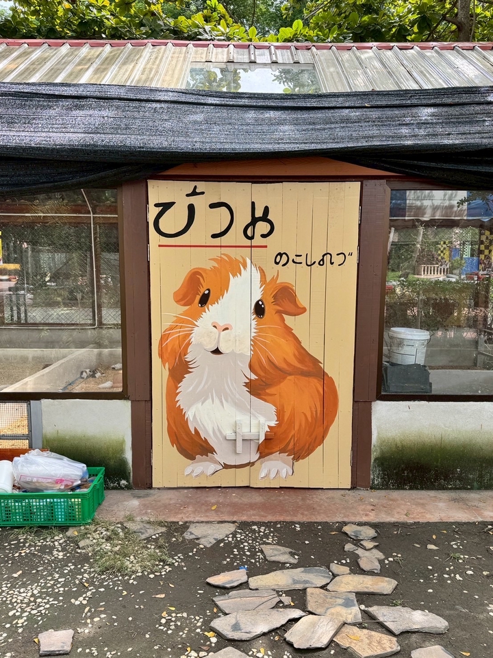 เพ้นท์ผนัง - รับเพ้นท์กำแพง - 12