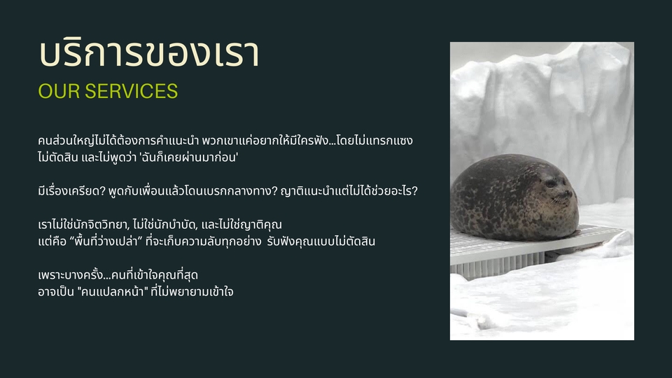 อื่นๆ - บริการเป็นผู้รับฟังโดยไม่ตัดสิน - 2