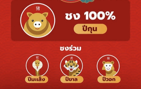 รับแก้ชงปีชง100% ปีปีกุน ชงกับปีมะเส็งขาลวอก