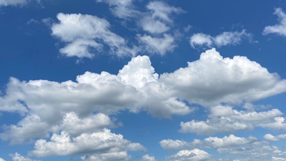 ออกแบบ canva ทําโปสเตอร์สวยๆ ฟรีแลนซ์