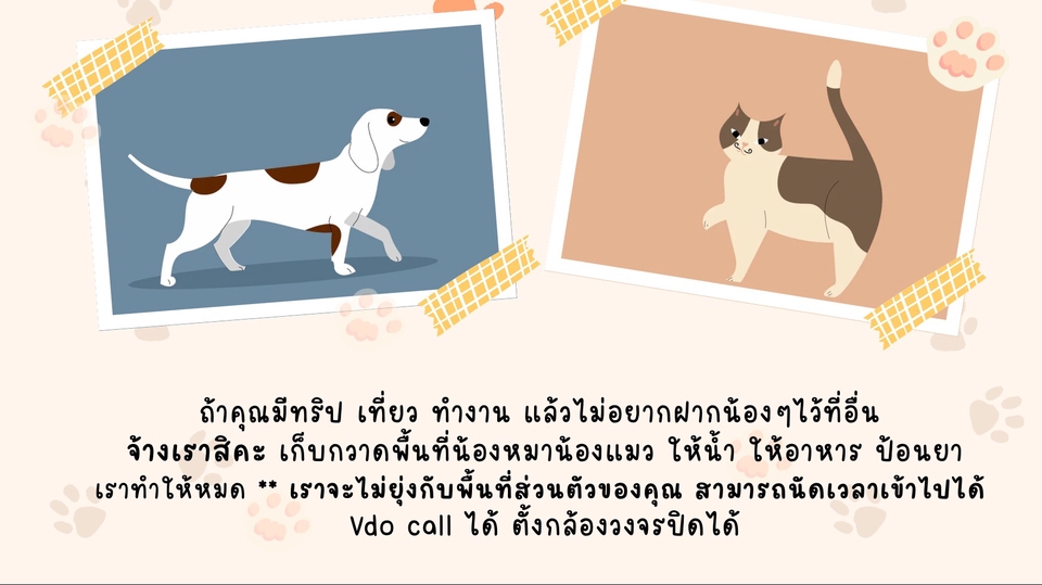 รับจ้างดูแลน้องหมา น้องแมว