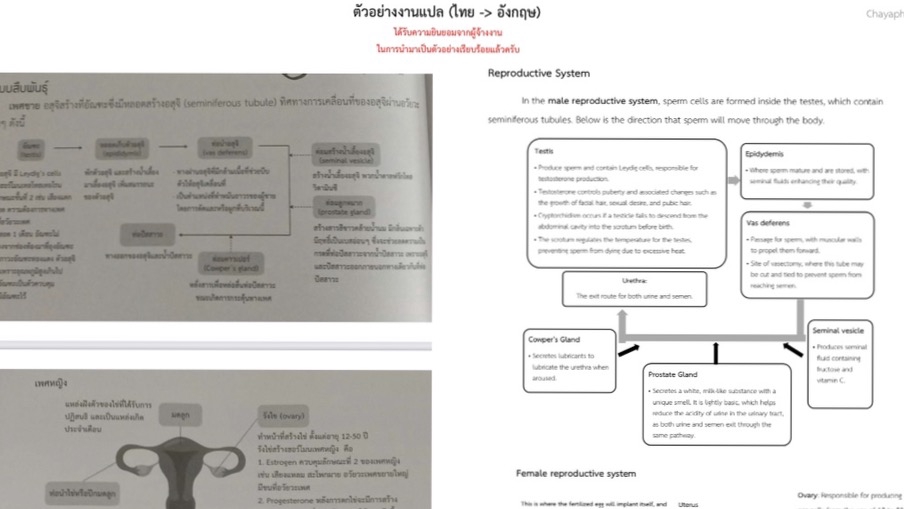 บทความวิชาการ วิทยาศาสตร์ วิจัย หนังสือเรียน