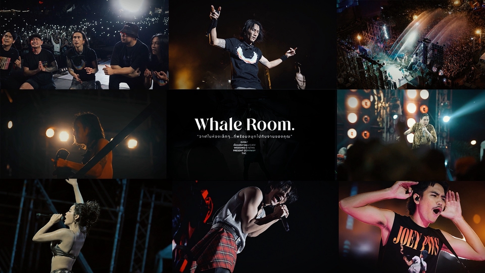 Concert Video Production – All-in-One Team