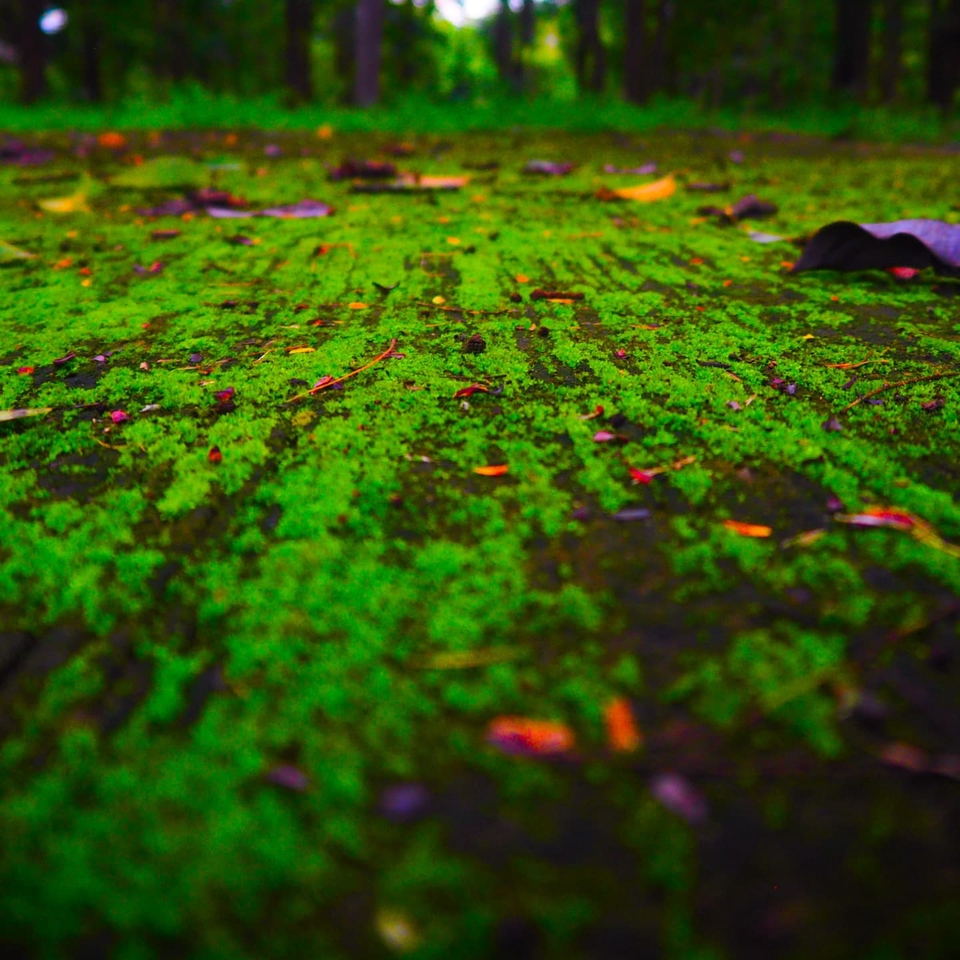 รับถ่ายวีดีโอ งานแต่งงาน ตัดต่อวีดีโอ  บริการถ่ายทำภาพยนตร์สั้น