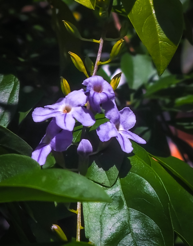 รับตัดต่อวีดีโอสวยงาม  งานแต่งงาน  ถ่ายวีดีโอคุณภาพสูง