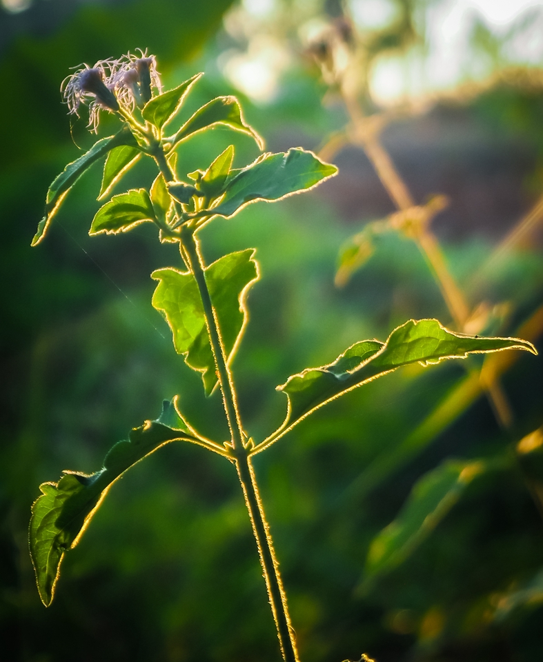 รับถ่ายวีดีโอ งานแต่งงาน  ตัดต่อวีดีโอ ราคาถูก  ถ่ายวีดีโอสวยงาม