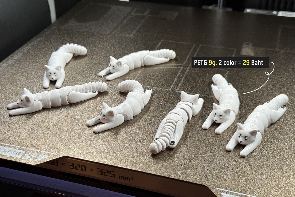 รับปริ้น 3D - 3D Printing | บริการปริ้นชิ้นงาน 3D print สั่งง่าย รวดเร็ว คุณภาพสูง ราคาย่อมเยาครับ - 7