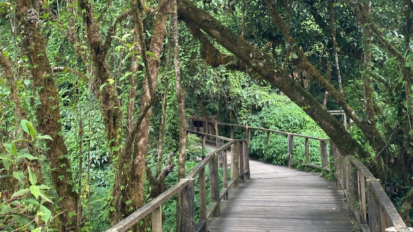 รับทำงานทุกประเภท แต่อยู่ในความเหมาะสม เช่น ถ่ายภาพ , ร้องเพลงให้ฟังได้ , ไปเที่ยว หรือ ชิมอาหาร ฯลฯ