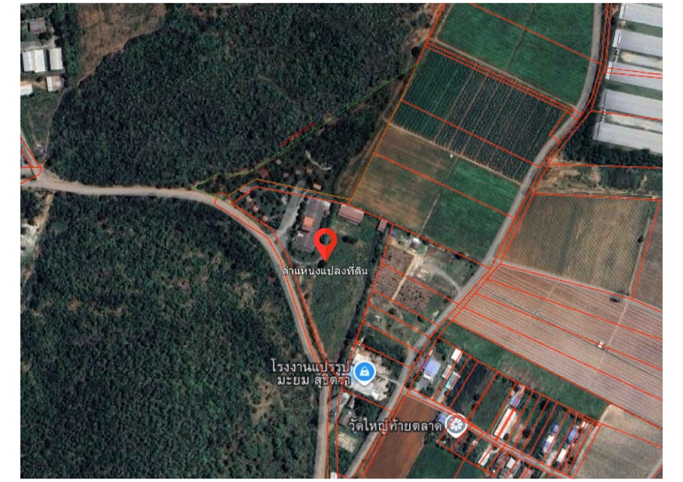 ภาพถ่ายดาวเทียมแสดงตำแหน่งที่ตั้งใกล้เคียงกับ โรงงานแปรรูป