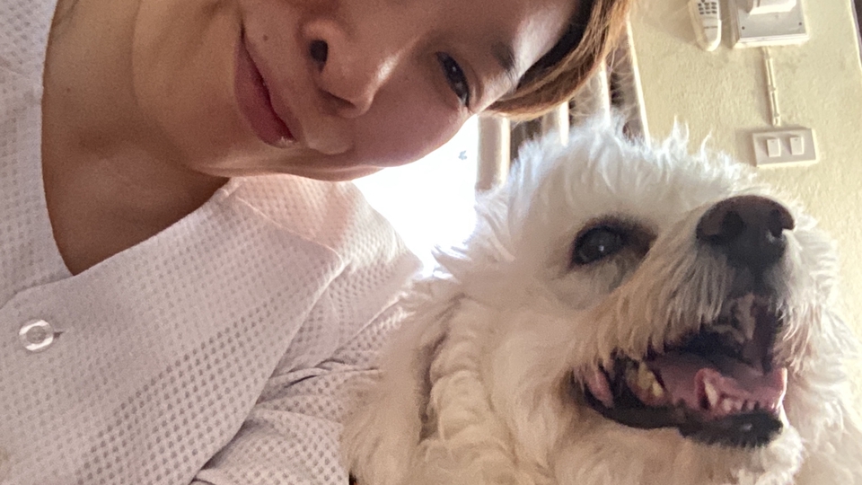 คู่หูที่จะส่งอาหารให้ลูกรักสี่ขาหมาแมวของท่านให้ถึงที่ยามท่านไม่อยู่บ้านหรือไม่สะดวก