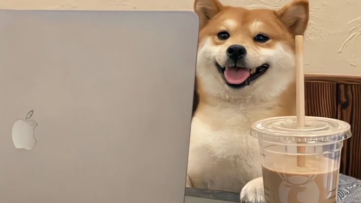 รับงานแอดมิน ตอบแชทลูกค้า ดูแลประดุจญาติมิตร