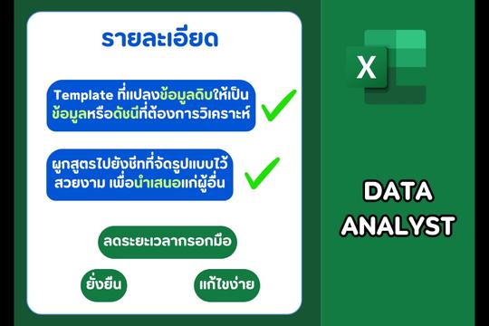 Excel Data Analyst