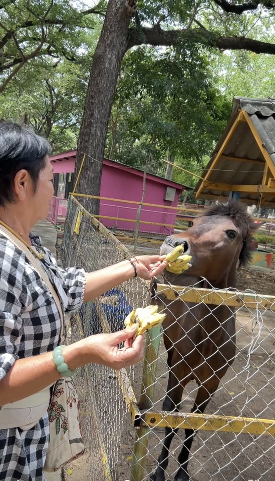 รับจ้างทำบุญ - รับจ้างทำบุญด้วยการเเจกอาหารน้องๆที่สวนสัตว์ - 5