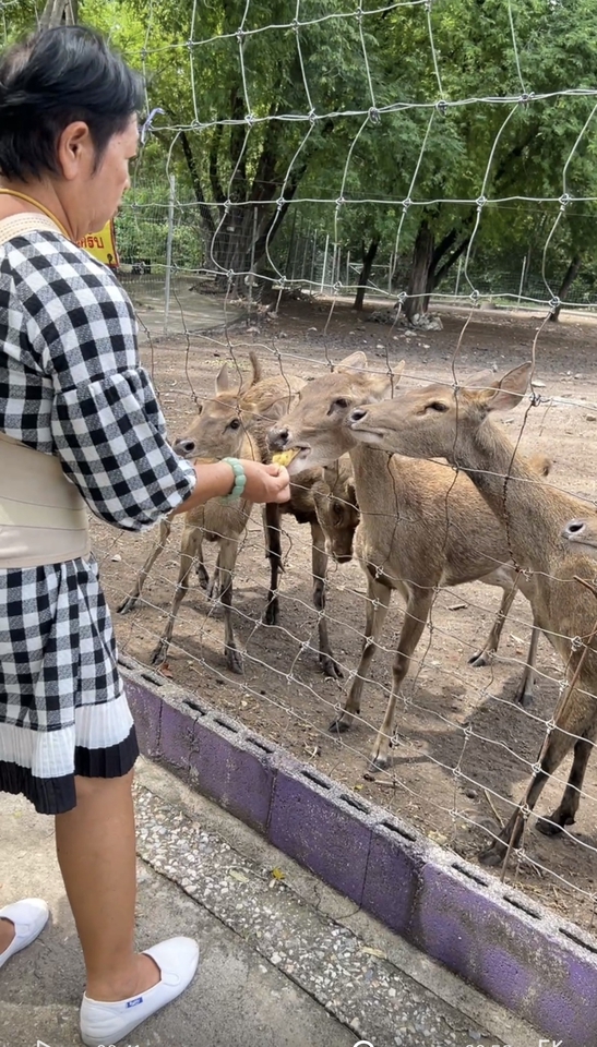 รับจ้างทำบุญ - รับจ้างทำบุญด้วยการเเจกอาหารน้องๆที่สวนสัตว์ - 7