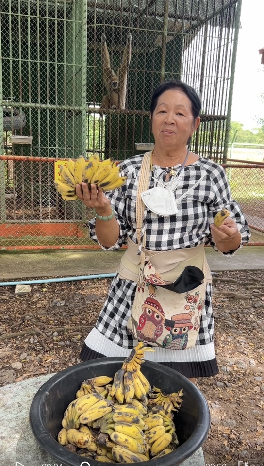 รับจ้างทำบุญ - รับจ้างทำบุญด้วยการเเจกอาหารน้องๆที่สวนสัตว์ - 3