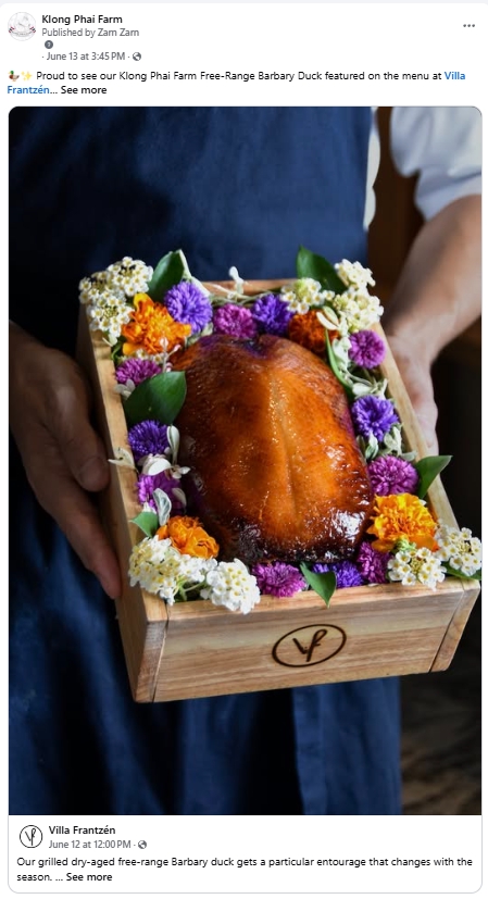 Creative & Content Marketing - Content + Graphic ให้เพจ Facebook และ Instagram - 5