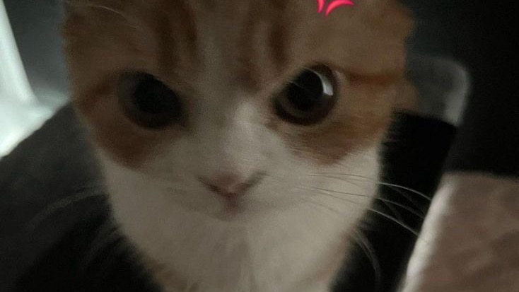 หาเพื่อนเล่นROV สอนเล่นROV ไต่แรงค์ROV