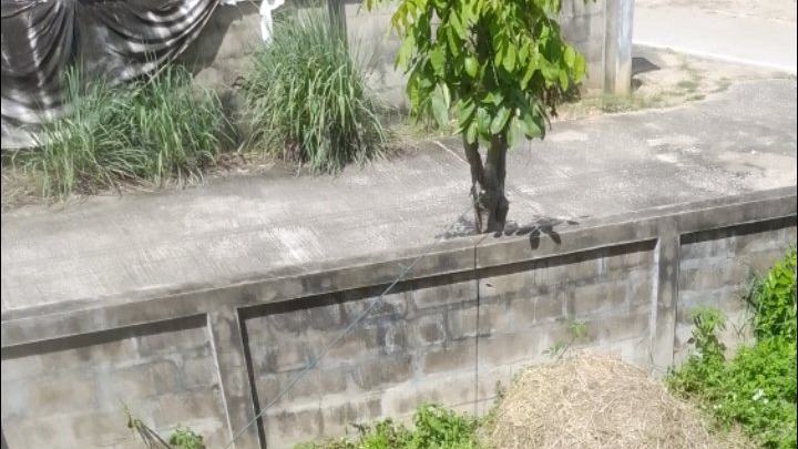 รับจ้างคุณเป็นเพื่อน รับฟัง