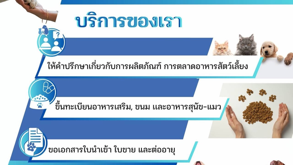 ปรึกษาการตลาดสัตว์เลี้ยง