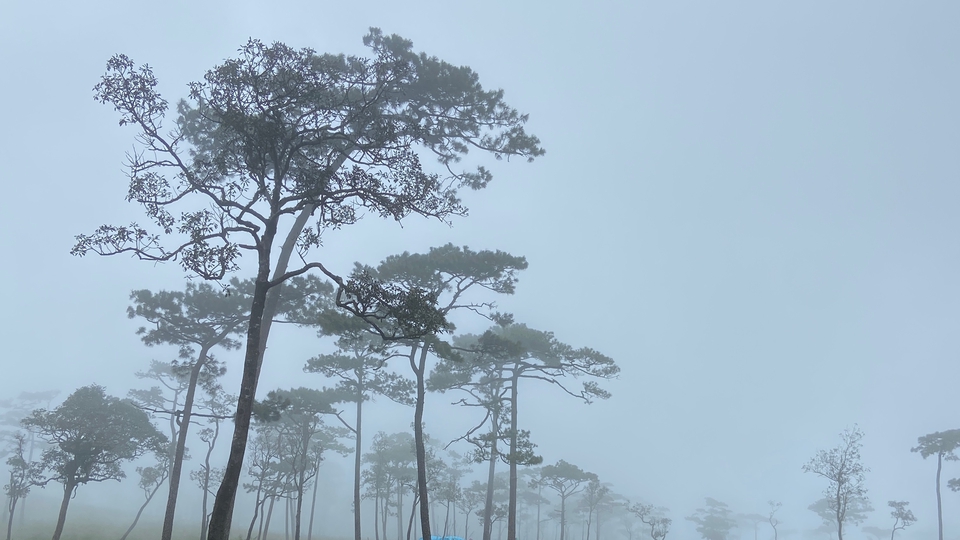 ฉันสามารถทำงานทั่วไป รับจ๊อบต่างๆ มีความรับผิดชอบค่อหน้าที่ตนเอง รับฟัง ปรึกษาได้ทุกเรื่องค่ะ