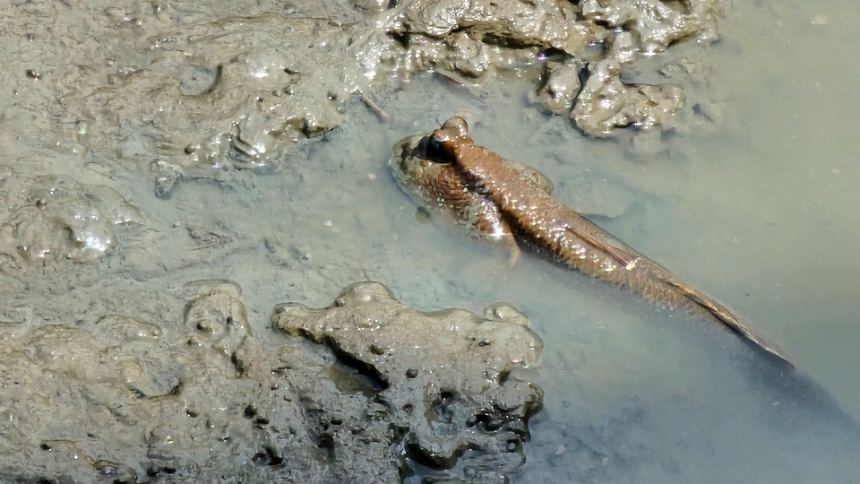 ไปเที่ยวเป็นเพื่อนแบบวันเดย์ทริป