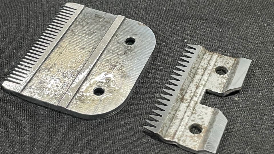 ลับคมใบมีดปัตตาเลี่ยน / ลับใบมีด Grooming / เก็บฟันใบมีดตัดขนสัตว์