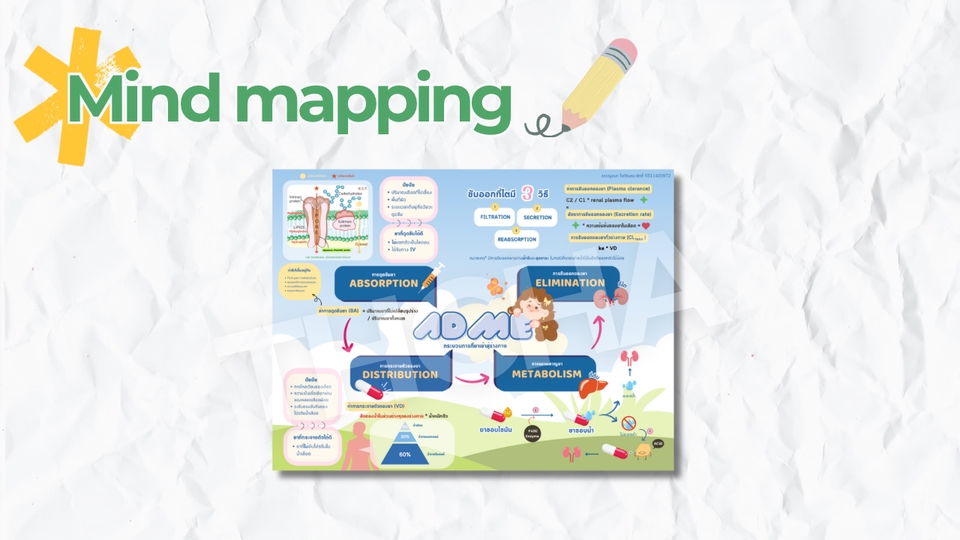 ออกแบบCanva แผนผังความคิด ADME สวยงาม