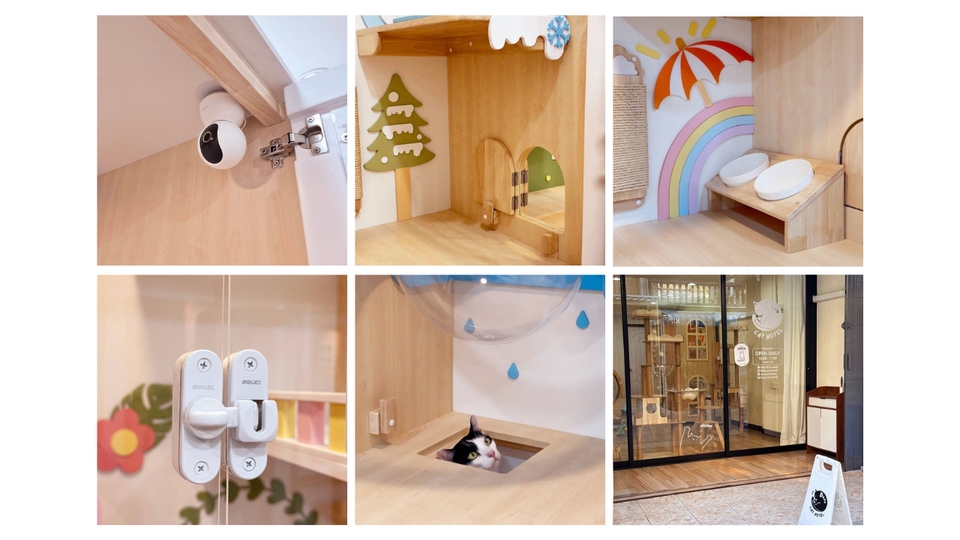 รับจ้างเลี้ยงสัตว์ - รับฝากแมวห้อง Suite - 8