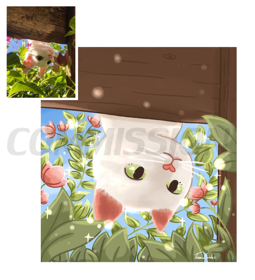 รับวาดรูปภาพประกอบสไตล์น่ารัก  แมวในสวนดอกไม้  digital painting