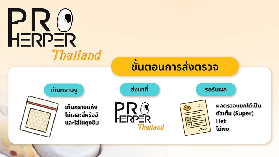 บริการตรวจยีนงูสวยงาม เช่น งูบอลไพธอน, งูคอร์นสเนค, งูฮอคโนส เป็นต้น โดยแลปชั้นนำจากประเทศเบลเยี่ยม