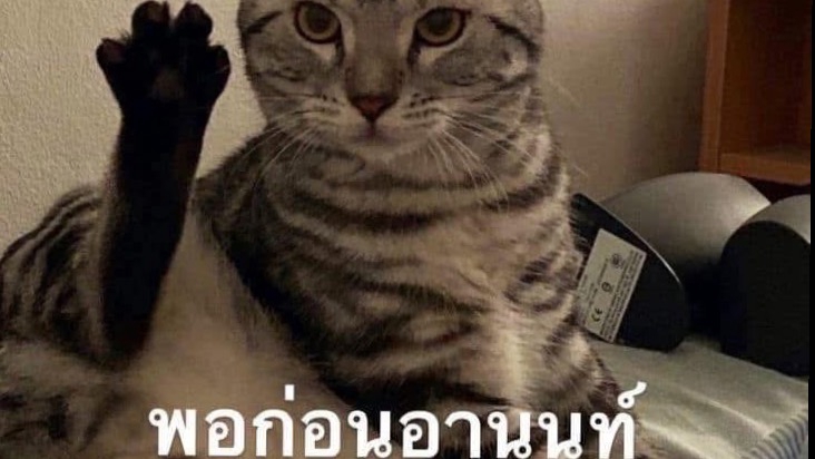 รับฟังทุกเรื่องราว รับปรึกษา สามารถเป็นที่รับฟังที่ดี และคุณสามารถมาระบายเรื่องราวได้