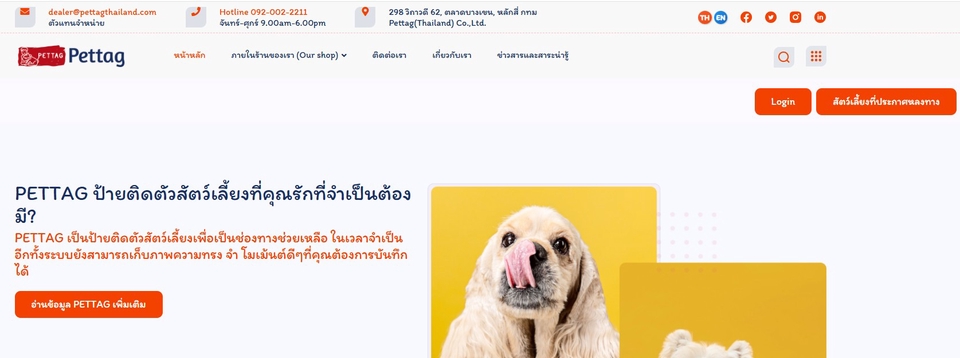 Web Development - รับเขียน Website / Mobile App / API พร้อมดูแลระบบครบวงจร - 13