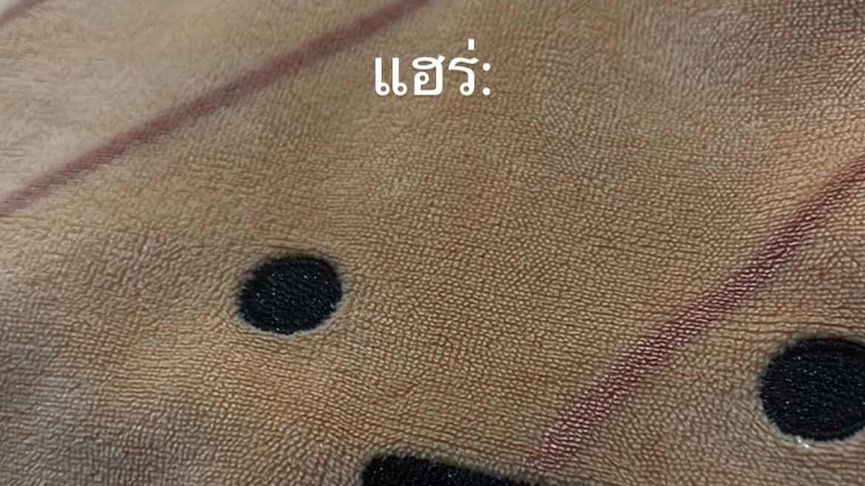 สื่อว่าเป็นคนติดตลก สามารถชวนคุยได้เกือบทุกเรื่อง และรับฟังปัญหาได้เป็นอย่างดี