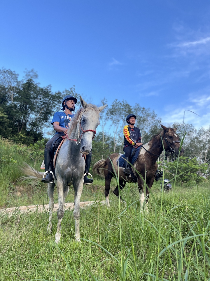 อื่นๆ - เช่า ม้าถ่ายงาน ม้างานบวช - 6