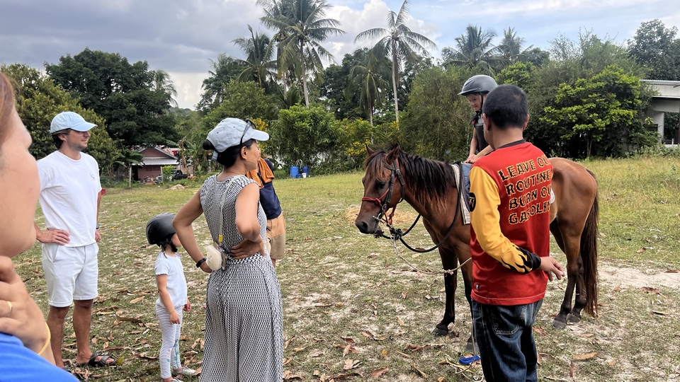 อื่นๆ - เช่า ม้าถ่ายงาน ม้างานบวช - 2