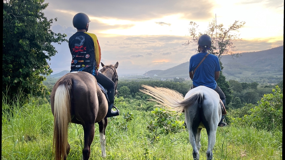 บริการเช่าม้า ออกงาน ถ่ายแบบ ทุกบริการ คุยรายเอียดได้ งานบวช งานแต่ง ถ่ายงาน หนังสั้น
มีประสบการณ์