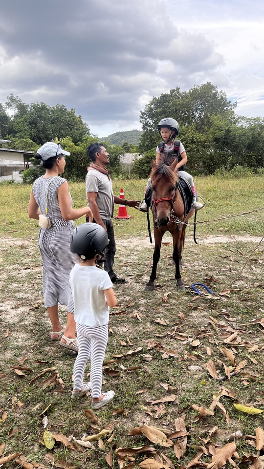 อื่นๆ - เช่า ม้าถ่ายงาน ม้างานบวช - 3