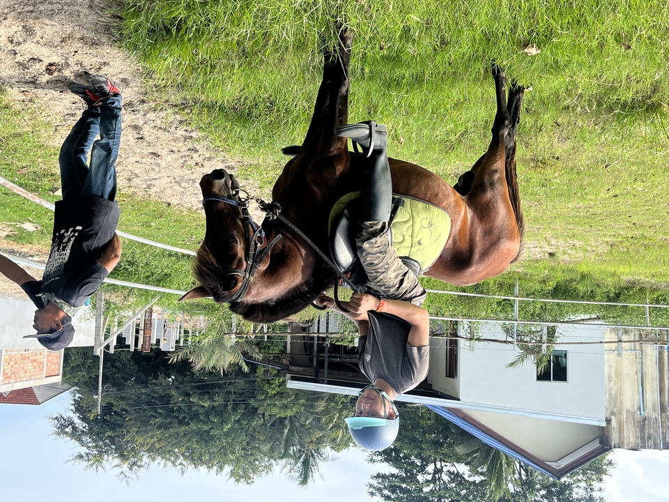 อื่นๆ - เช่า ม้าถ่ายงาน ม้างานบวช - 18